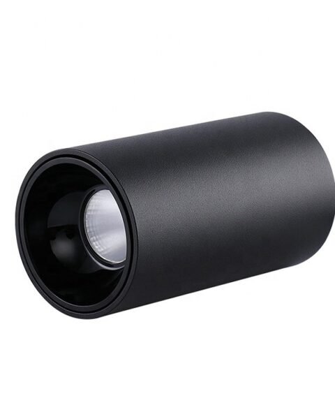 Blaze 30W