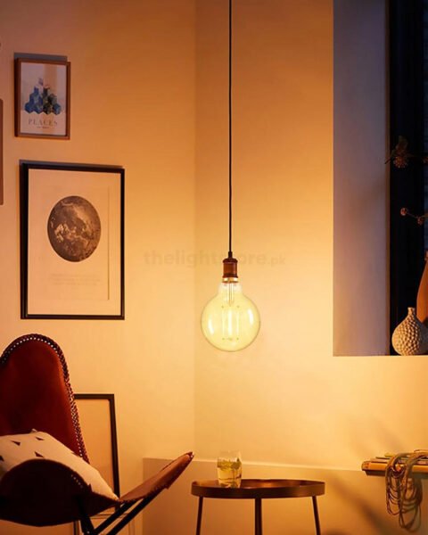 G95 RETRO EDISON BULBS PAKISTAN